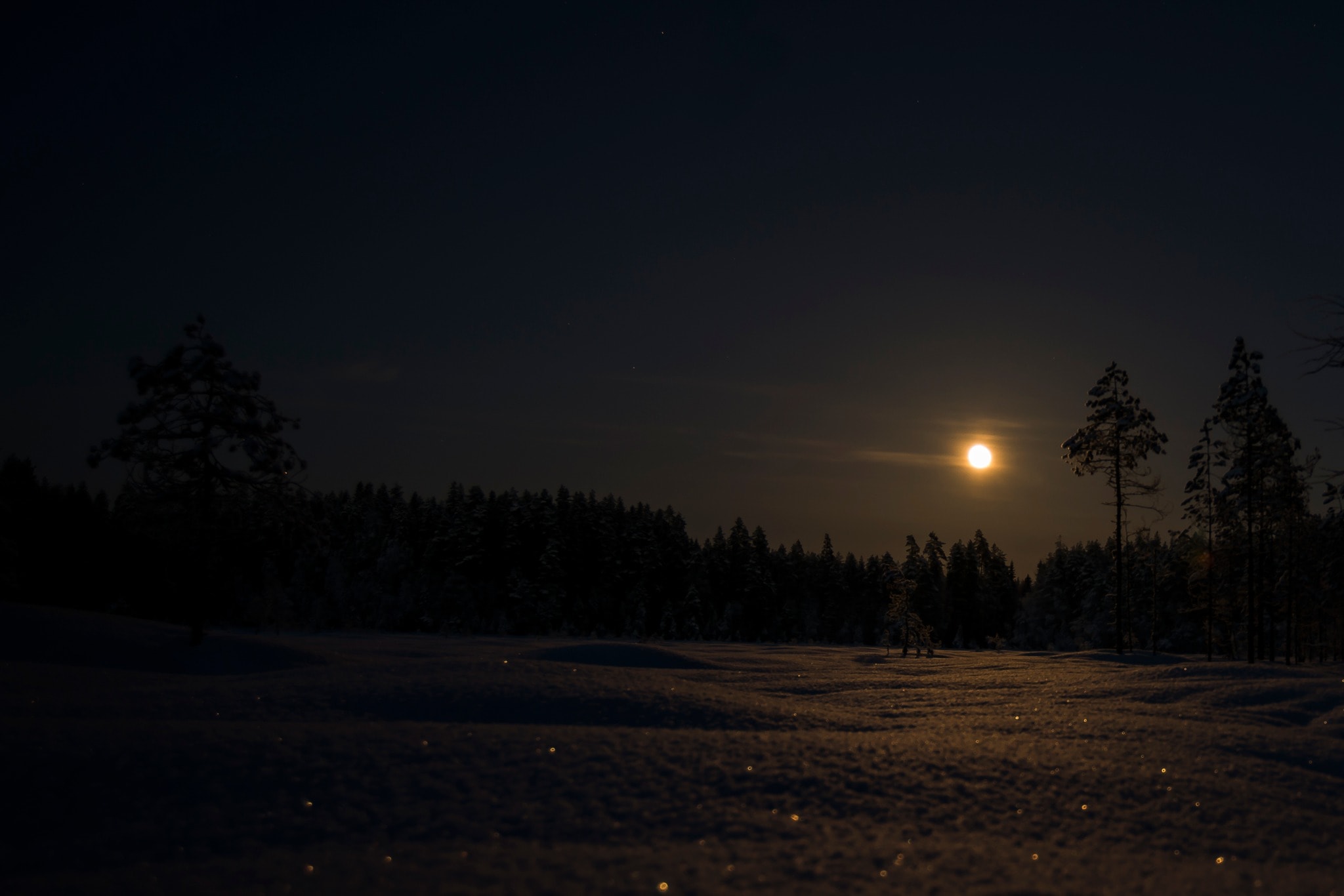 Kuu paistaa pimeässä talvimaisemassa. Etualalla lumihanki kimaltelee ja taustalla näkyy metsää.