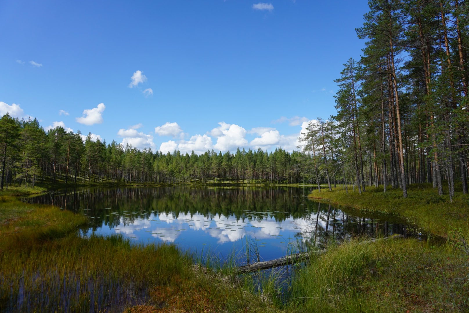 Talvinen maisema järven jäältä, jossa näkyy hiihtolatu ja auringonlasku.