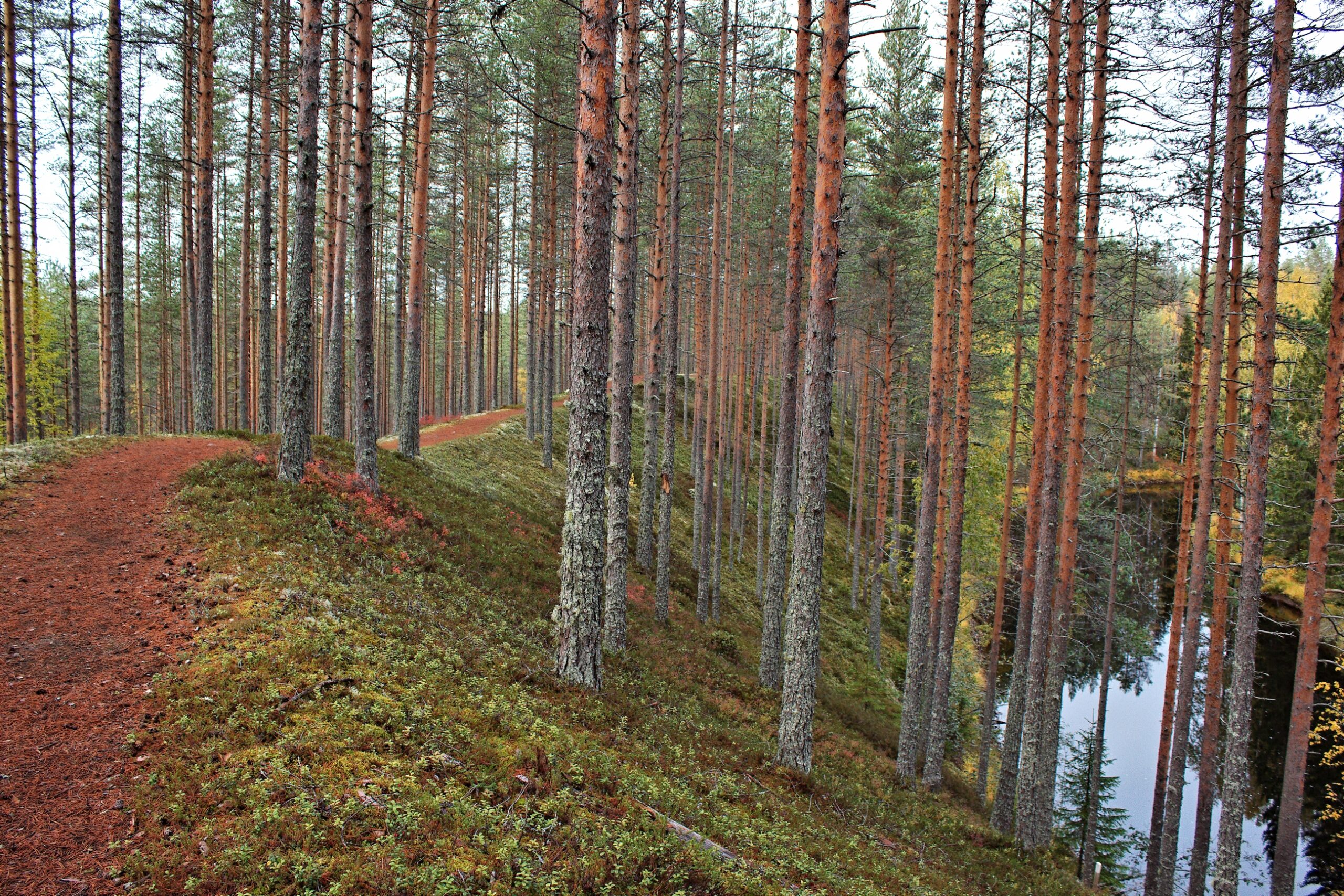 Syksyinen maisema, jossa on harju ja joki näkyvissä.